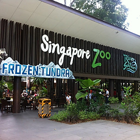 Combo Vé Tham Quan: Night Safari Và Singapore Zoo
