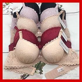 Áo lót nữ ren , áo ngực đệm dày không gọng 9110 không gian eva KGE