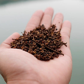 Mua  Hàng chính gốc Tây Bắc  Hạt Mắc Khén (Gia vị chấm  tẩm ướp thực phẩm)