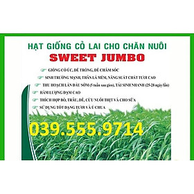 Hạt cỏ chăn nuôi SWEET JUMBO 300gam