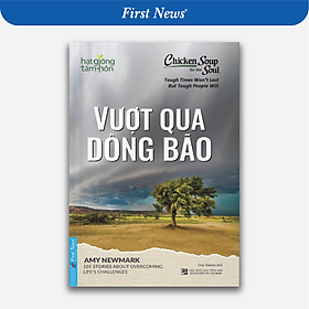 Hạt giống tâm hồn - vượt qua dông bão