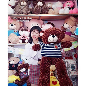 Gấu Bông Teddy Nâu Cao Cấp 90cm Ảnh Shop Chụp