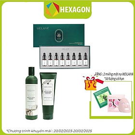 Combo Bộ Dầu Gội Xả Gừng + Huyết thanh Weilaiya Chính Hãng -  Bộ đôi hỗ trợ mọc tóc - Tem trắng ( dầu gội gừng tươi ) - dành cho da