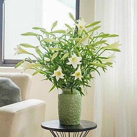 Mua Bình cắm hoa  họa tiết hoa dây khắc nổi  men ngọc. Gốm sứ Bát Tràng cao cấp.