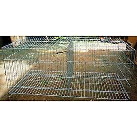 Lồng nuôi chim bồ câu