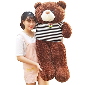 Gấu Bông Teddy 1m4 khổ vải cao 1m2 dễ thương