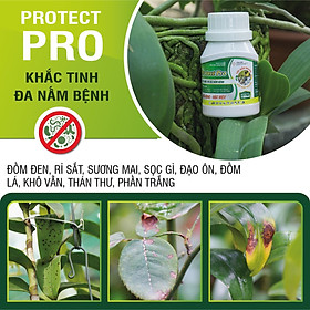 PROTECT PRO - PHÒNG TRỪ ĐA NẤM BỆNH