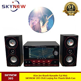 Mua Loa Vi Tính Hát Karaoke Có Kết Nối Bluetooth USB SKN395 - Hàng Chính Hãng SKYNEW