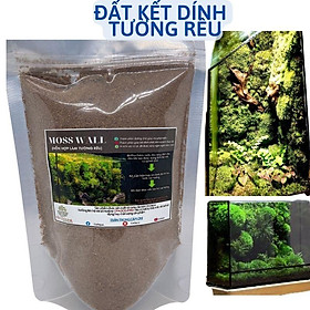 {Moss Wall} Đất kết dính, đất làm tường rêu, gắn rêu dùng trong bể terrarium, bán cạn