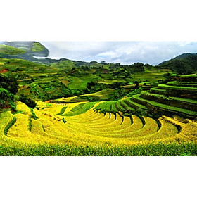 TRANH DÁN TƯỜNG 3D CAO CẤP | TRANH DÁN TƯỜNG | TRANH TRANG TRÍ | T3DMN-T6-VAD_SSTH03582