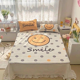 Mua CHIẾU ĐIỀU HOÀ CAO SU NON IN HÌNH 5D SIÊU ĐẸP SIÊU MÁT