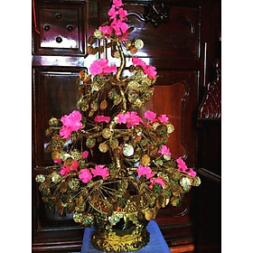 Cây cánh vàng lá ngọc cao 70cm hoa Đào pha lê siêu đẹp 850k PHK shop