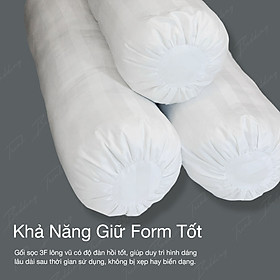 Ruột Gối Lông Vũ Chuẩn Khách Sạn 5 Sao Bông Sợi Cực Mịn Cảm Giác Nằm Êm Ái Trinh Bedding 50x70cm - Ruột ôm 35 x 100cm