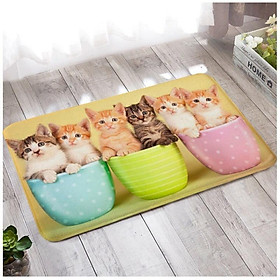 Mua Thảm Lau Chân 3D Siêu Cute Chống Trơn Trượt 40x60cm cao cấp