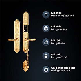 Mua Khóa điện tử FS00924K BRASS