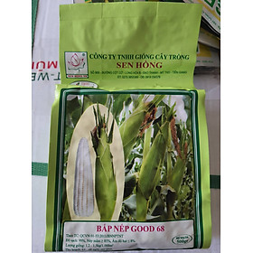 Hạt Giống Bắp Nếp Sen Hồng Good 68