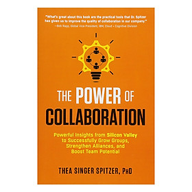 The Power of Collaboration : Powerful Insights from Silicon Valley to Successfully Grow Groups, Strengthen Alliances, and Boost Team Potential