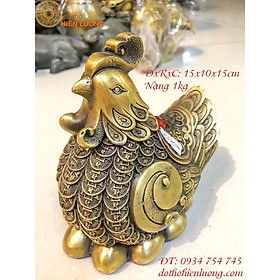 Mua Gà Mái Ấp Trứng Vàng Tài Lộc