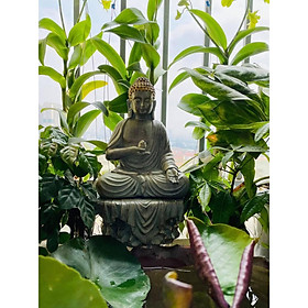 Mua Tượng Phật Thích Ca Mâu Ni - Kèm Đế