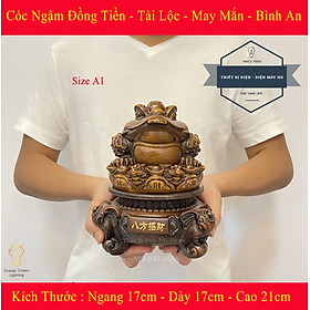 Mua Tượng Cóc Ngậm Đồng Tiền 3 Chân Thiềm Thừ - Xoay 360 Độ - Mang Lại Tài Lộc   May Mắn   Bình An - Size A1 - Có Video Thực Tế