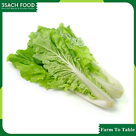 Cải dún (300gr/gói) - Chuẩn An Toàn VietGap