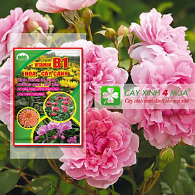 Mua B1- Kích thích ra hoa  dưỡng hoa lâu tàn