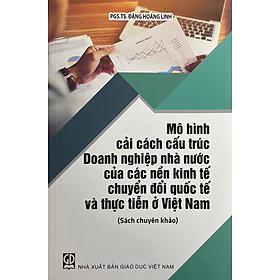 Mô Hình Cải Tạo Cấu Trúc Doanh Nghiệp Nhà Nước Của Các Nên Kinh Tế Chuyển Đổi Quốc Tế Và Thực Tế Ở Việt Nam