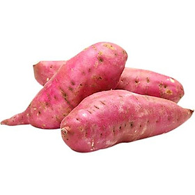 Khoai lang giống Nhật Đà Lạt 1kg-2040580000005