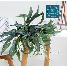 Mua Hoa lá giả - Cành lá bạch đàn kim nhân tạo 90cm decor tiệc cưới  trang trí nhà cửa