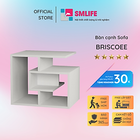 Mua Bàn gỗ cạnh Sofa hiện đại Briscoee