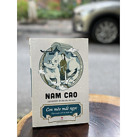 CON MÈO MẮT NGỌC – Nam Cao – NXB Kim Đồng