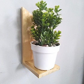 Mua kệ treo tương trang trí cây cảnh kệ đựng đồ lưu niệm kích thước 27X10X10 CM