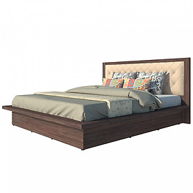 GIƯỜNG FINE FG110