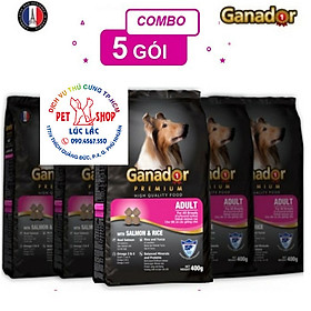 Combo 5 thức ăn cho chó trưởng thành Ganador vị cá hồi & gạo Salmon & Rice 400 gram