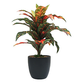 Chậu Cây Thịnh Vượng Giả