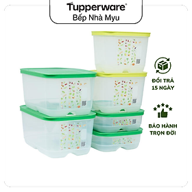 Mua Bộ Hộp Tupperware Trữ Mát Có Nút Hô Hấp Ventsmart 6 Hộp - Nữ Hoàng Trữ Mát - Tươi Đến 3 Tuần