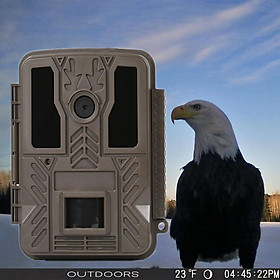 Máy ảnh đường mòn IP67 Naterproof IP67 Động vật hoang dã ống kính kép 24MP Starlight Night Vision Motion Motion Trò chơi săn bắn trò chơi cho động vật hoang dã