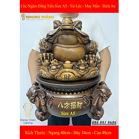 Mua Tượng Cóc Ngậm Đồng Tiền 3 Chân Thiềm Thừ - Xoay 360 Độ - Mang Lại Tài Lộc   May Mắn   Bình An - Size A5 - Có Video Thực Tế