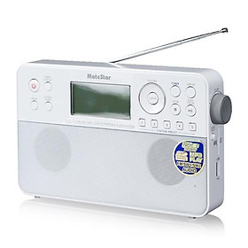 Mua ĐÀI RADIO SỐ FM /SW1/SW2 KIÊM NGHE NHẠC USB MATESTAR RA-1 SIZE TO GIÁ SHOCK