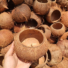 Mua Gáo dừa thô nguyên liệu - Gáo múm | Gáo cắt cao