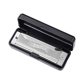 Mouth Organ Portable Teaching Aids 10 holes Harmonica for Travel Stage Family