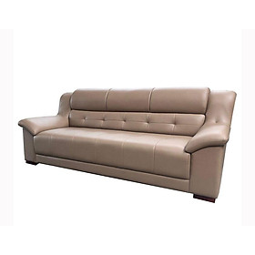 Sofa Băng Dài Cao Cấp_Ghế Sofa Nhỏ Cho Căn Hộ Chung Cư