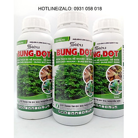 PHÂN BÓN CHO CÂY KIỂNG/MAI VÀNG GIÚP BUNG ĐỌT MẠNH, ĐỌT TO KHOẺ - SIÊU BUNG ĐỌT (CHAI 500ML VÀ 1L)