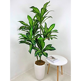 Mua Cây thiết mộc lan giả - 5 nhánh - cao 150 cm - Cây giả  hoa lụa Decor trang trí nhà cửa