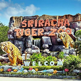 Vé Tham Quan Trại Hổ Sriracha Ở Pattaya, Thái Lan