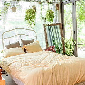 Chăn ga gối Julia 543 satin