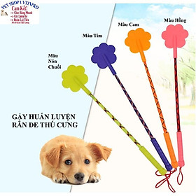 Gậy huấn luyện, răn đe chó mèo, thú cưng - Dài 42cm (Màu Tím)