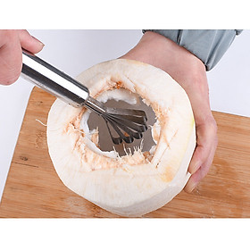 Mua Dụng cụ nạo cùi dừa và đánh vẩy cá tiện lợi IN66