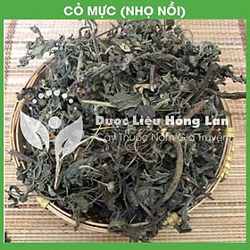 Mua Combo 2kg CÂY CỎ MỰC (NHỌ NỒI) khô - congtyduoclieuhonglan