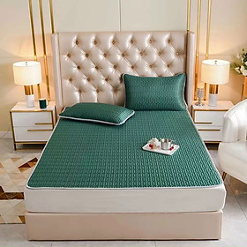Mua CHIẾU ĐIỀU HÒA CAO SU NON (1 CHIẾU +2 VỎ GỐI) -TM57